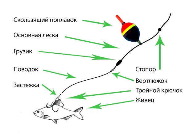 Ловля щуки на живца на удочку с поплавком и монтаж поплавочной оснастки для поимки хищницы Собираем поплавочную снасть на щуку