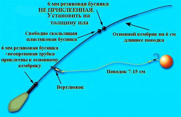 Оснастки для успешной ловли карпа на рыбалке