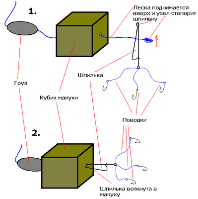 макушатник
