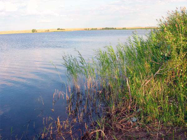 На Ириклинском водохранилище. "Кресты"