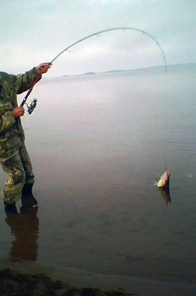тест спиннинга