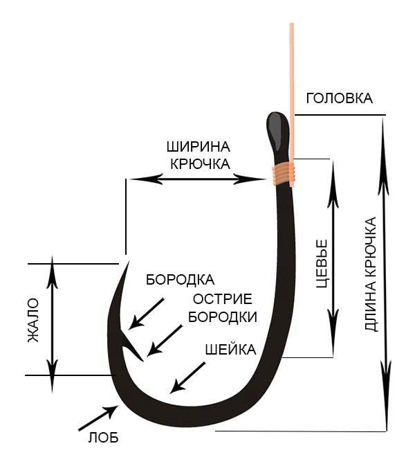 выбираем рыболовный крючок