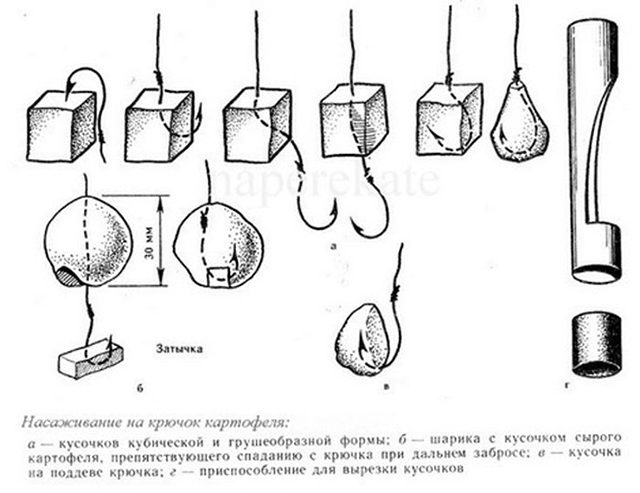 способы насаживания картофеля