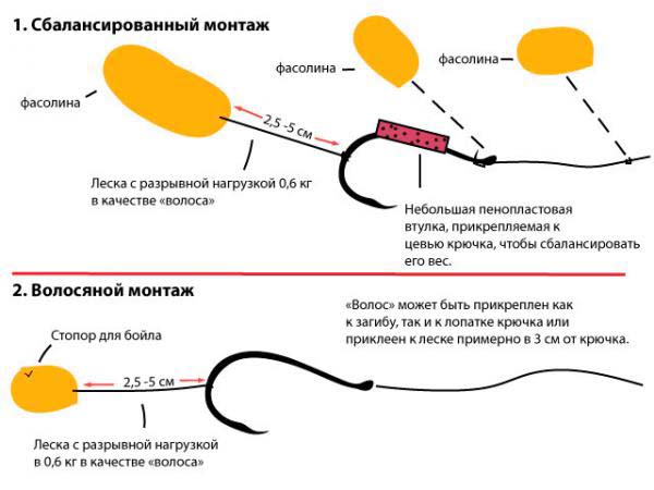 схема монтажей для ловли карпа на фасоль