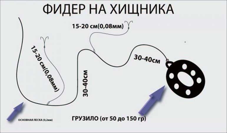 оснастка фидера на хищную рыбу