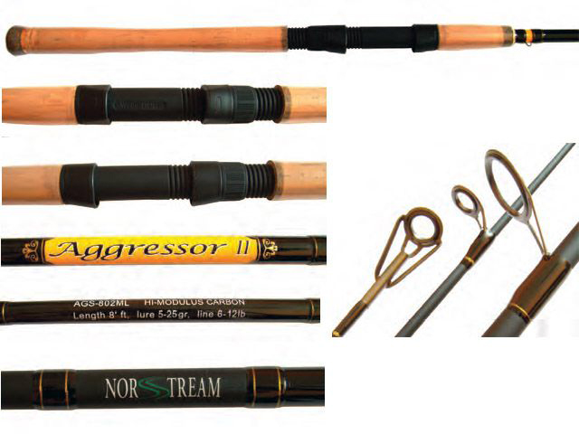 norstream agressor 2
