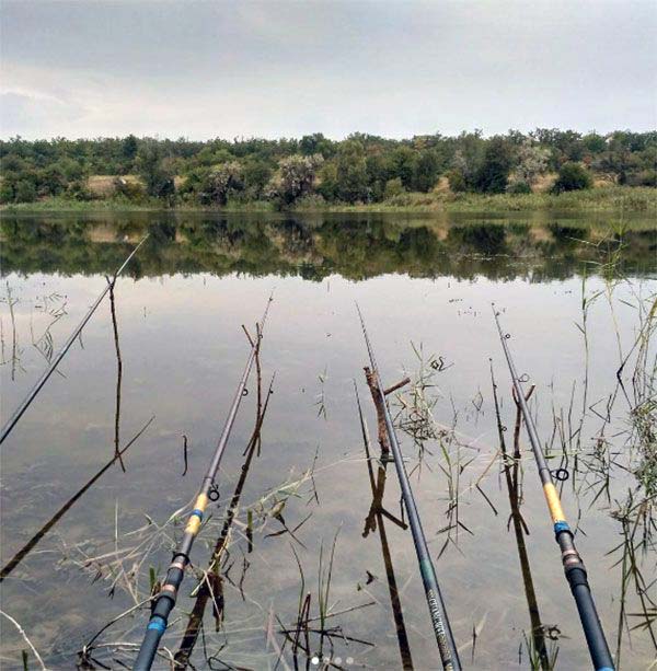 рыболовные насадки