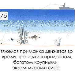 рис 7Б. Намного проще на таких глубинах ловить кэтчером