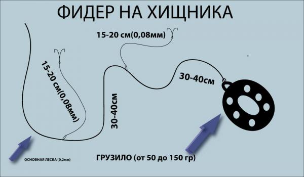 Фидер на хищника снасть схема